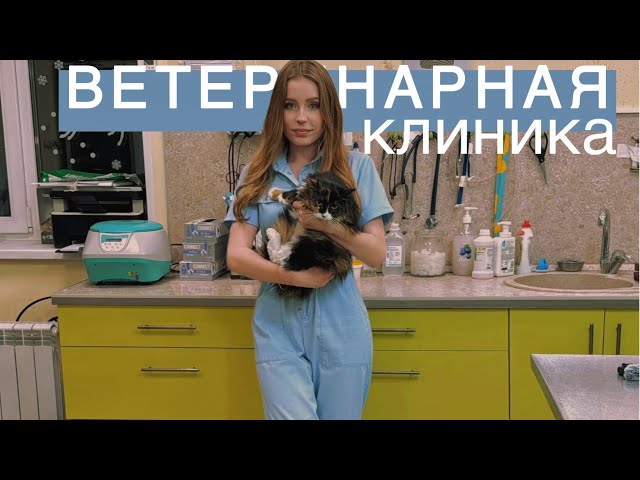 АСМР ВЕТЕРИНАРНАЯ КЛИНИКА 🐈 ASMR  Veterinary clinic