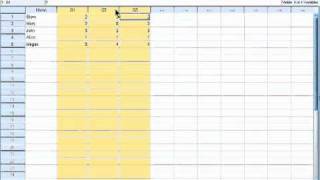 atomictraining.com | SPSS 19 Training - Working with cases, variables, cells, and values screenshot 4