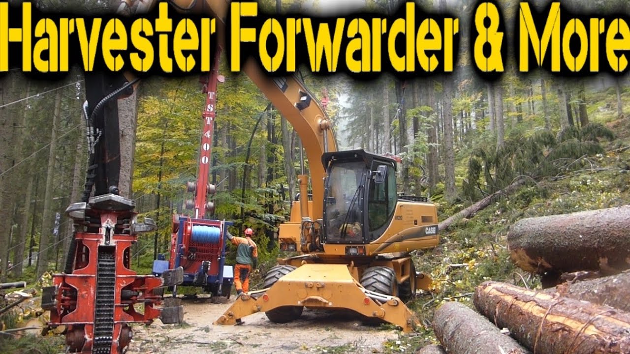 Case WX210 & TST Timbernator 60H & TST 400