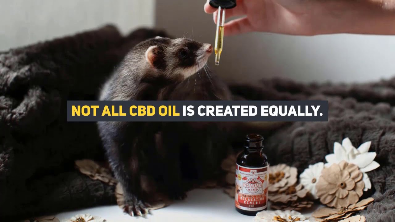 cbd oil for anxiety and depression amazon - best cbd oil for anxiety and depression amazon