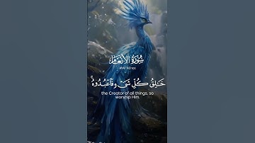 آيات من القرآن الكريم 💞 سورة الانعام 💞 الآية  102