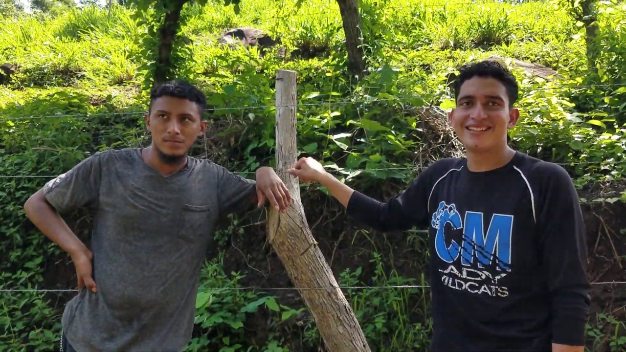 mexicano restaurant EL TONTO DE JUAN ROMPIÓ EL BILLETE QUE NOS DIO CARMELO - ENTREVISTA NO ME GUSTA PERO ME ENTRETIENE