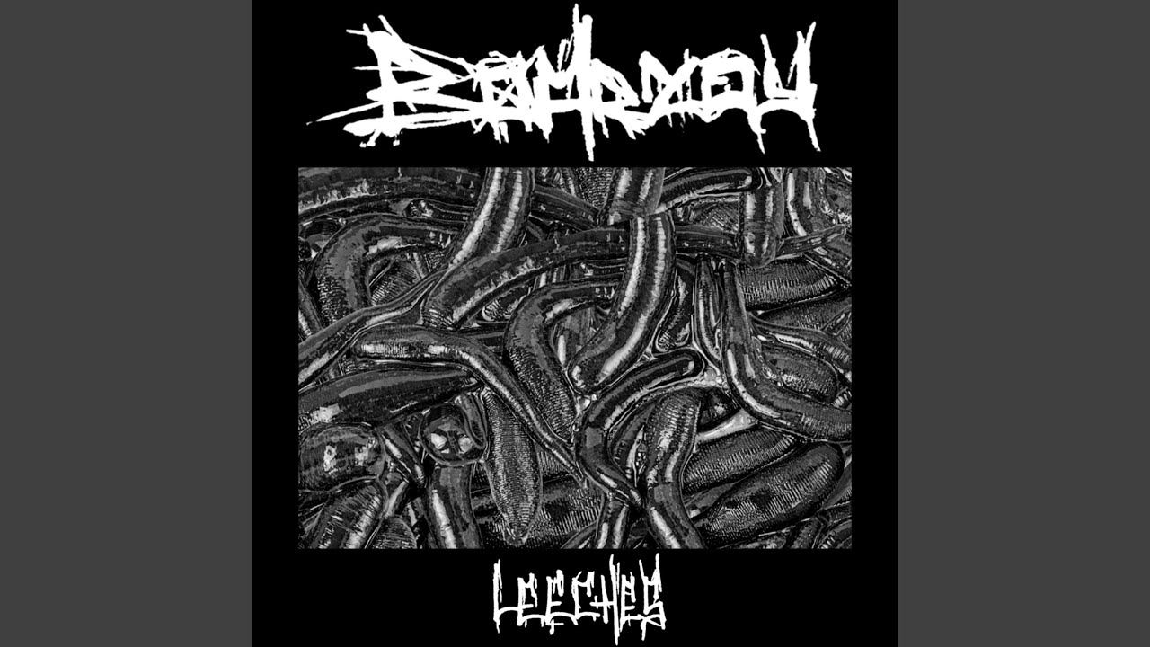 Watch Leeches on YouTube Watch Leeches on YouTube