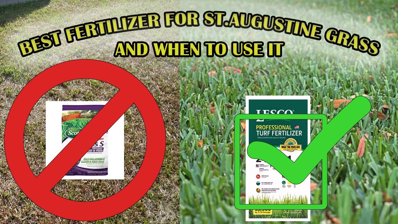 The Best Fertilizer For St Augustine Grass | When To Fertilize Your Lawn