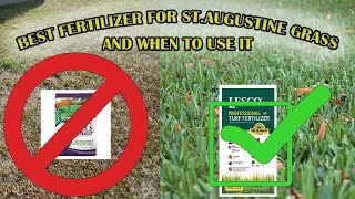 The Best Fertilizer For St Augustine Grass | When To Fertilize Your Lawn