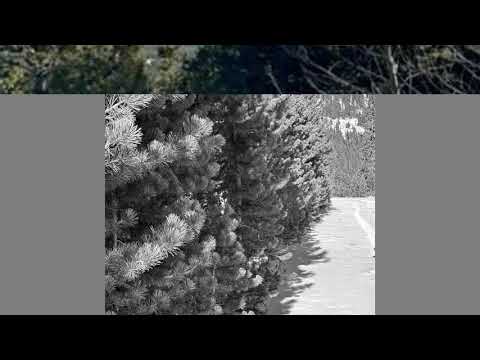 504 Hilltop Road, Idaho Springs, CO home video tour