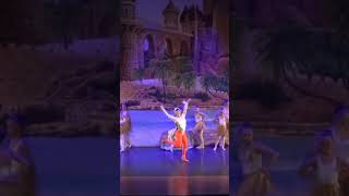 Scuttles Orange Tights Never Miss  Charm City Ballet Presents The Little Mermaid  June 89