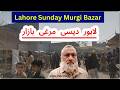 Murgi Mandi Lahore 15 Feb 2026| Nadia Ghee Mill Mandi | Desi Murgi Market Tour | Golden Misri Chicks