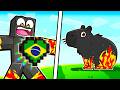 Consegui CORA&Ccedil;&Otilde;ES do BRASIL no Minecraft