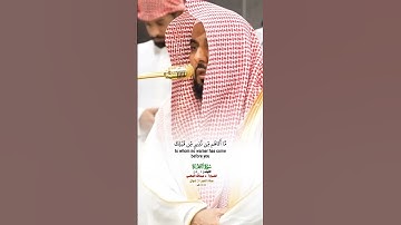 فواتح سورة السجدة_تلاوة مرئية من صلاة الفجر 20 شوال 1446هـ_فضيلة الشيخ أ. د عبدالله الجهني_#quran