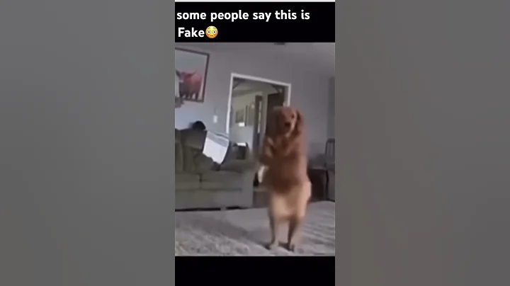 Some people say this is fake #meme #dog #Skinwalker #Funny ￼￼￼