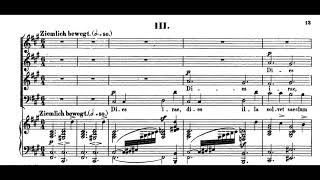 Robert Schumann - Requiem(1852)(with full score)