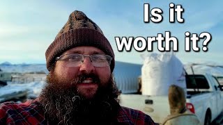 How much money do I save buying bulk feed