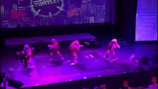 Teenage Mutant Ninja Turtles On Stage