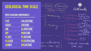 GEOLOGICAL TIME SCALE explained with Mnemonics