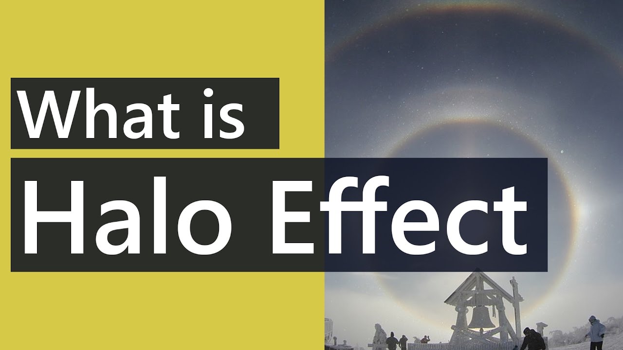 What is halo effect in psychology, Example Halo Effect, Psychology Terms &  videos