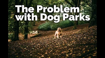 Are dog parks OK for dogs?