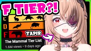 Nimi finds out shes on F tier on TierZoos Mammal Tier List
Cute Vampire Tapir
Timestamps:
00:00 Intro
00:20 Nimi finds out shes F tier
01:52 Nimi pronounces things
==============================
Sources:
【Vampyr】 Living out all my gothic vampire fantasies
https://www.youtube.com/watch?v=AK9H7Roos0I
Mammal Tier List by TierZoo:
https://www.youtube.com/watch?v=7UXmUJZIH7c
a==============================
Channels:
Nimi Nightmare
https://www.youtube.com/@niminightmare
==============================
Heres my twitter if you wanna follow
https://twitter.com/ShiroClips
==============================
#nimi #nimagery Nimi finds out shes on F tier on TierZoos Mammal Tier List