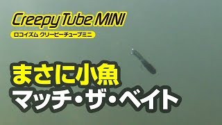 【ルアーアクション動画】クリーピーチューブミニ / Creepy Tube Mini /  Tiemco Bass Fishing JP / ティムコ バスフィッシング