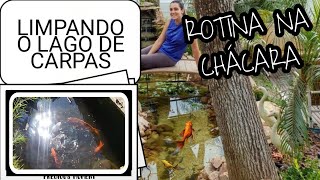 LIMPANDO O LAGO DE CARPAS + ROTINA NA CHÁCARA