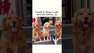 Cuando Te Obligan A Salir En La Foto Familiar