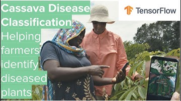 Cassava Disease Classification: Helping farmers identify diseased plants