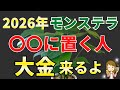 2026年!モンステラを●●に置くとお金持ち【風水アドバイザーが解説】