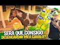 MEU CAVALO ZEUS ESTÁ ENCARDIDO ! PRECISO LIMPÁ-LO