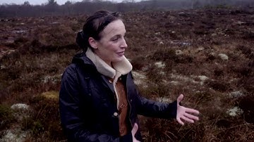 Shanakyle Bog Restoration Project EIP on RTE