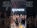 Siamese @ Rockmaraton 2025