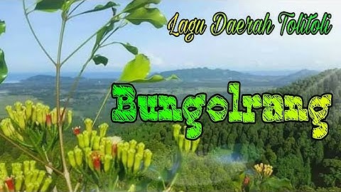 Lagu Daerah Tolitoli || Bungolrang, Vocal. Merry Triana