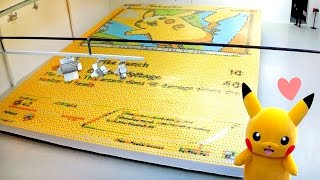 Cartes Pokémon : la plus grande collection du monde montrée par son  propriétaire