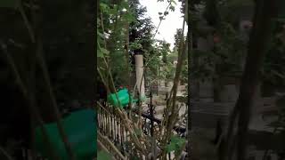 İstanbul Fatih Caami