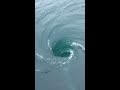 Whirlpool In The Ocean, Cornwall UK