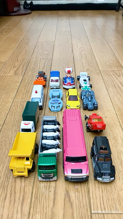 14 My Favorite Toy Cars Lining Up in Reverse Playback! Which toy car went the straightest?