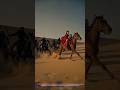 Ancient Wuxia Myth Short Film! Mysterious Hero with Wolves Rescues Chased Heroine &amp; Child! #kungfu