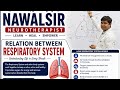फेफड़ों का कार्य |Function of Lungs |Respiratory System |Introduction Of Lungs |Function of Lungs | 🫁