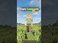Minecraft Insane Commands Moment 💀