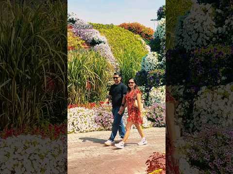 Miracle Garden Dubai, UAE. #miraclegarden #miraclegardendubai #dubai #uae #fyp #travel