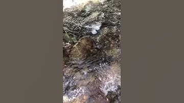 AEM 311 Flow Visualization
