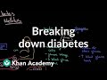 Breaking down diabetes | Endocrine system diseases | NCLEX-RN | Khan Academy