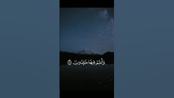 سورة الزخرف