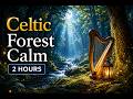 Celtic Forest Sleep Sounds | No Interruptions | 2 Hours