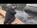 Kim Jong-un vs duck