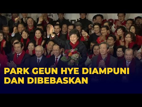 Video: Presiden Korea Park Geun-hye: biografi dan foto