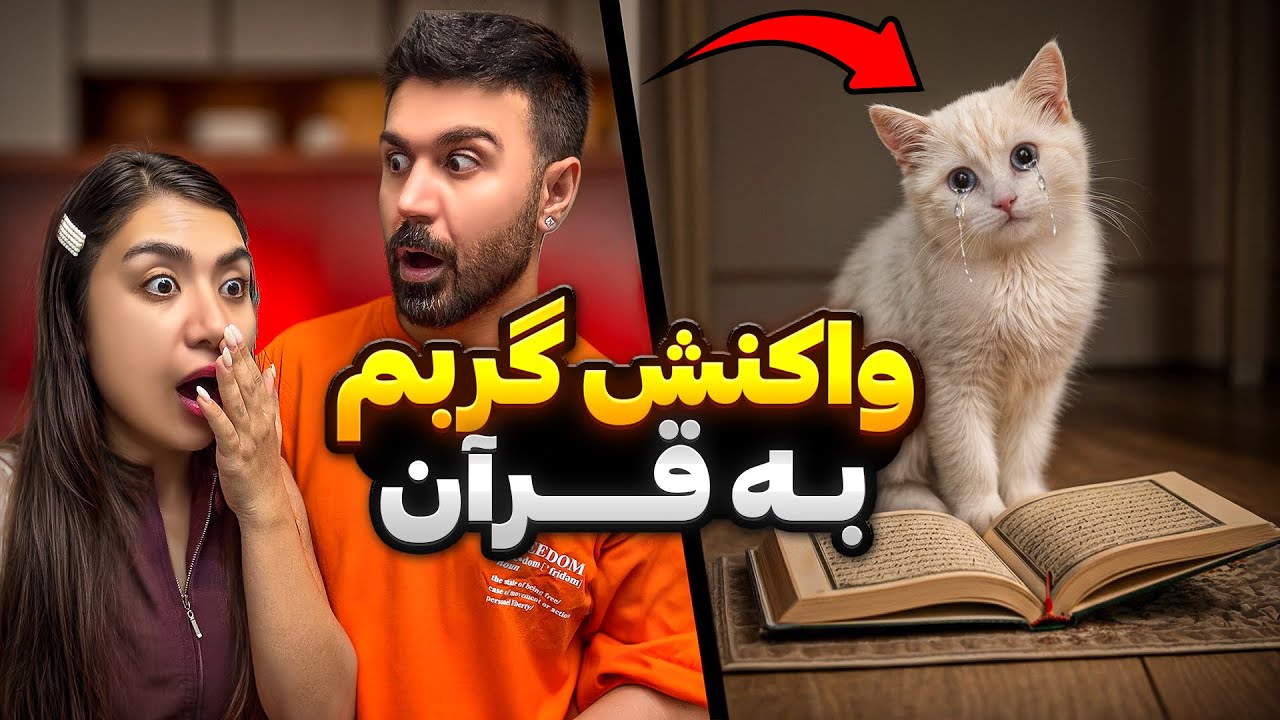 تست‌های عجیب روی گربمون😳فکرشو نمیکردیم جواب بده😧
