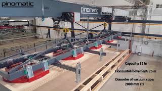 Pinomatic special vacuum lifter