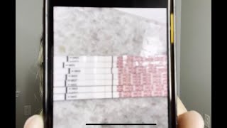 TWO WEEK WAIT SYMPTOMS BFP AT 11 DPO 4 WEEKS 4 DAYS PREGNANCY TEST LINE PROGRESSION