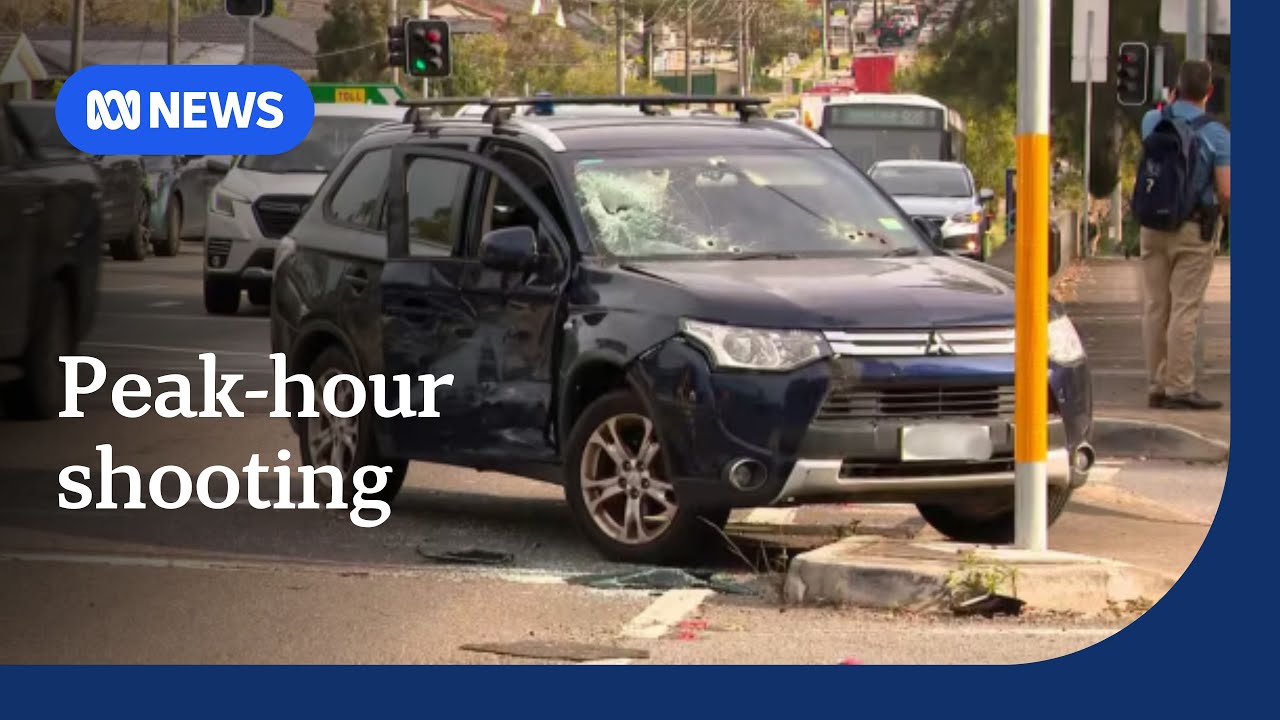 Tactical police conduct high-risk arrest in Sydney peak hour traffic | ABC NEWS