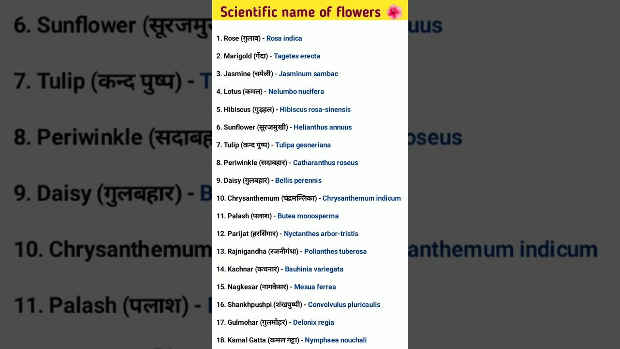 Top 20 scientific name of flowers. Botanical name of flowers in 15 seconds. 